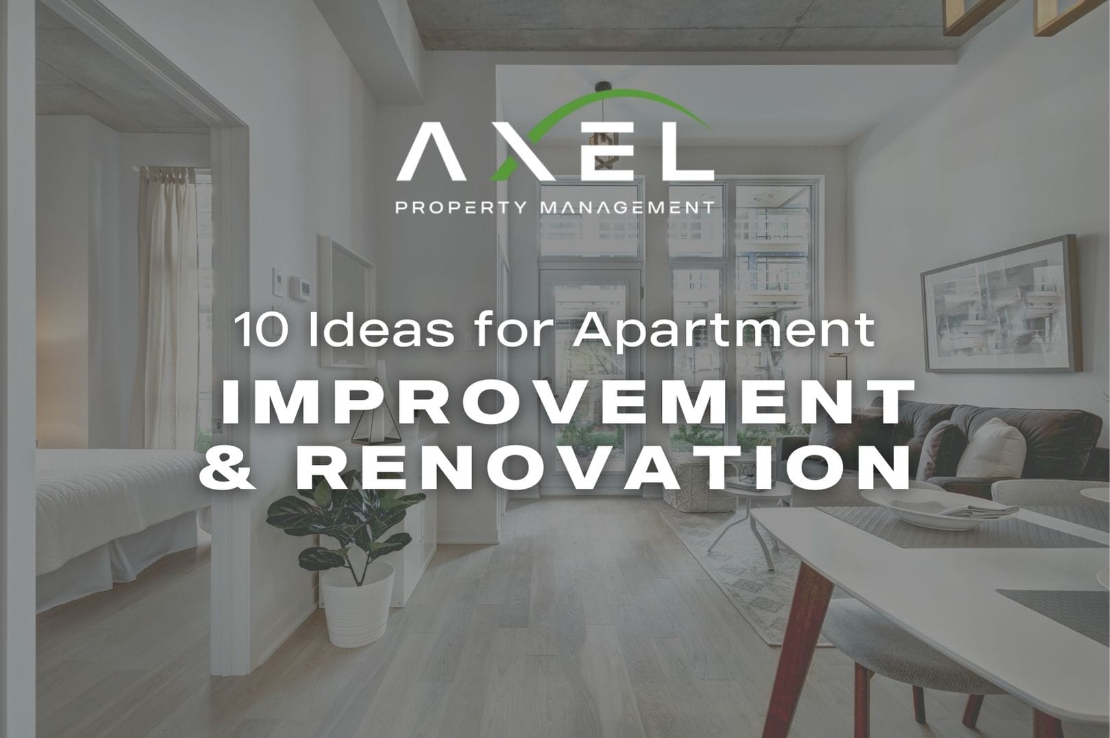 10 Apartment Renovation Ideas for Rental Properties