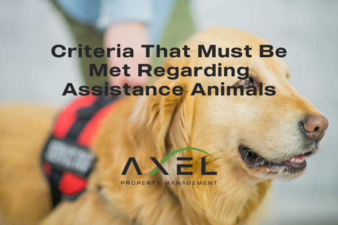 Assistance Animals & Rentals: Criteria You Must Meet