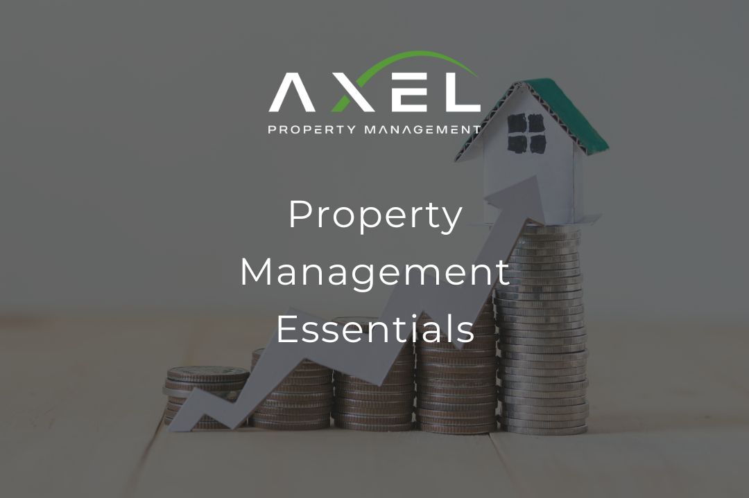Property Management Basics: Essentials for Investors